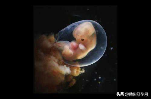 试管失败39次的她：试管婴儿中那些不为人知的事情...