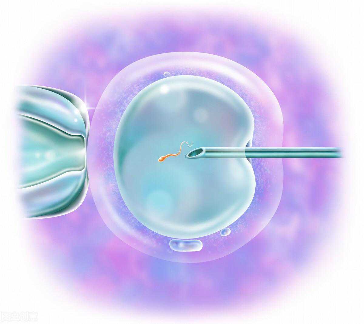 代孕引起热议？专家告诉你“试管婴儿”的诞生之路