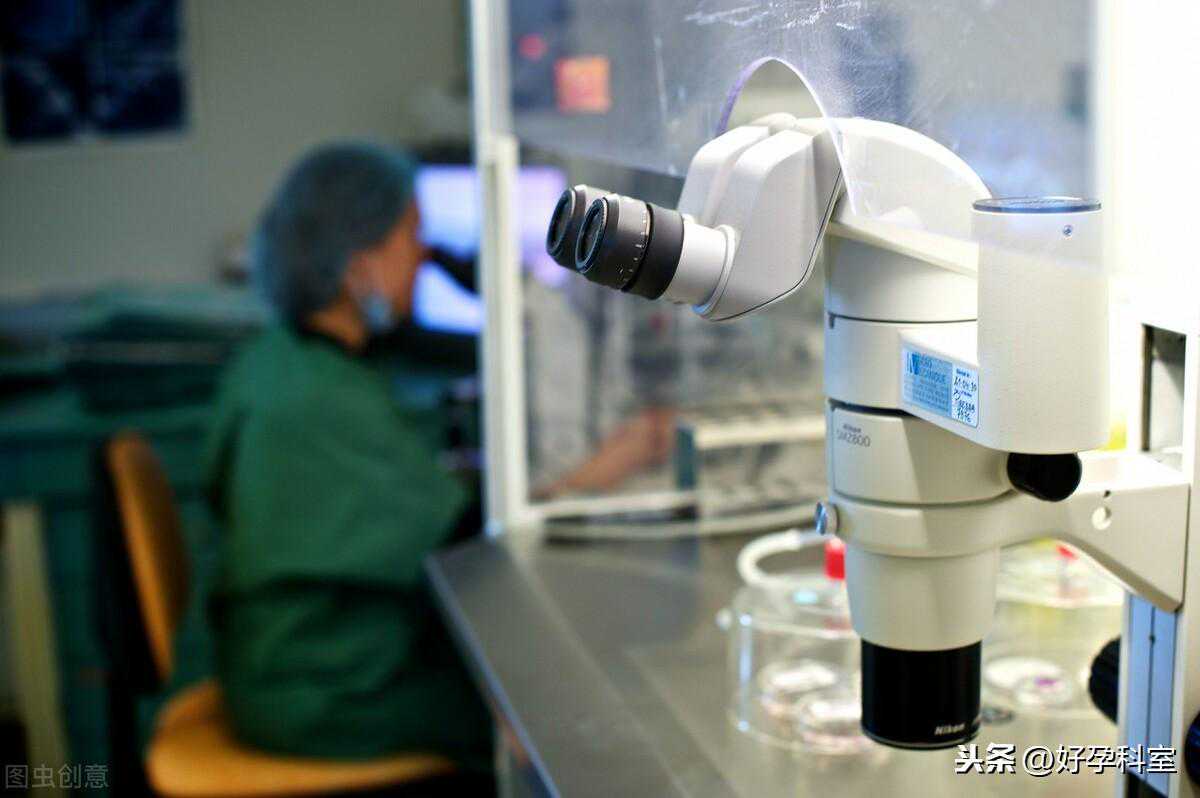 试管婴儿胚胎培养要走过这几个阶段