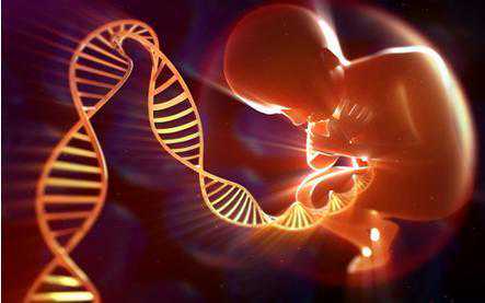 想要做试管婴儿，卵巢功能不好怎么办？