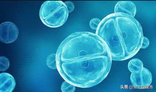 试管婴儿取卵后，卵巢多久能恢复？不同的人时间不一样