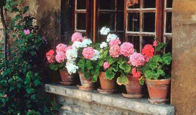 “梦到孩子结果检查真的怀孕了”，所以胎梦真的能预示怀孕吗？