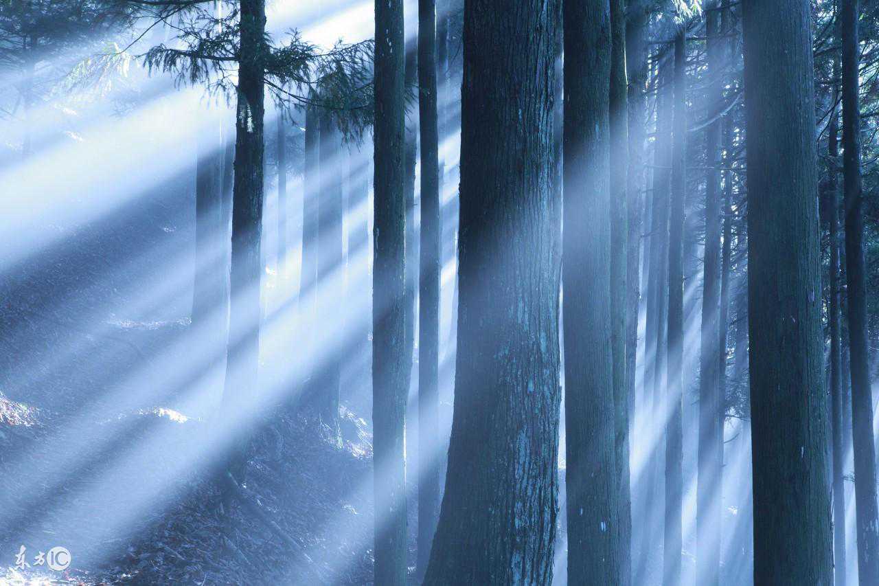 解疑篇：怀孕期间荒诞离奇的怪梦究竟有什么含义？