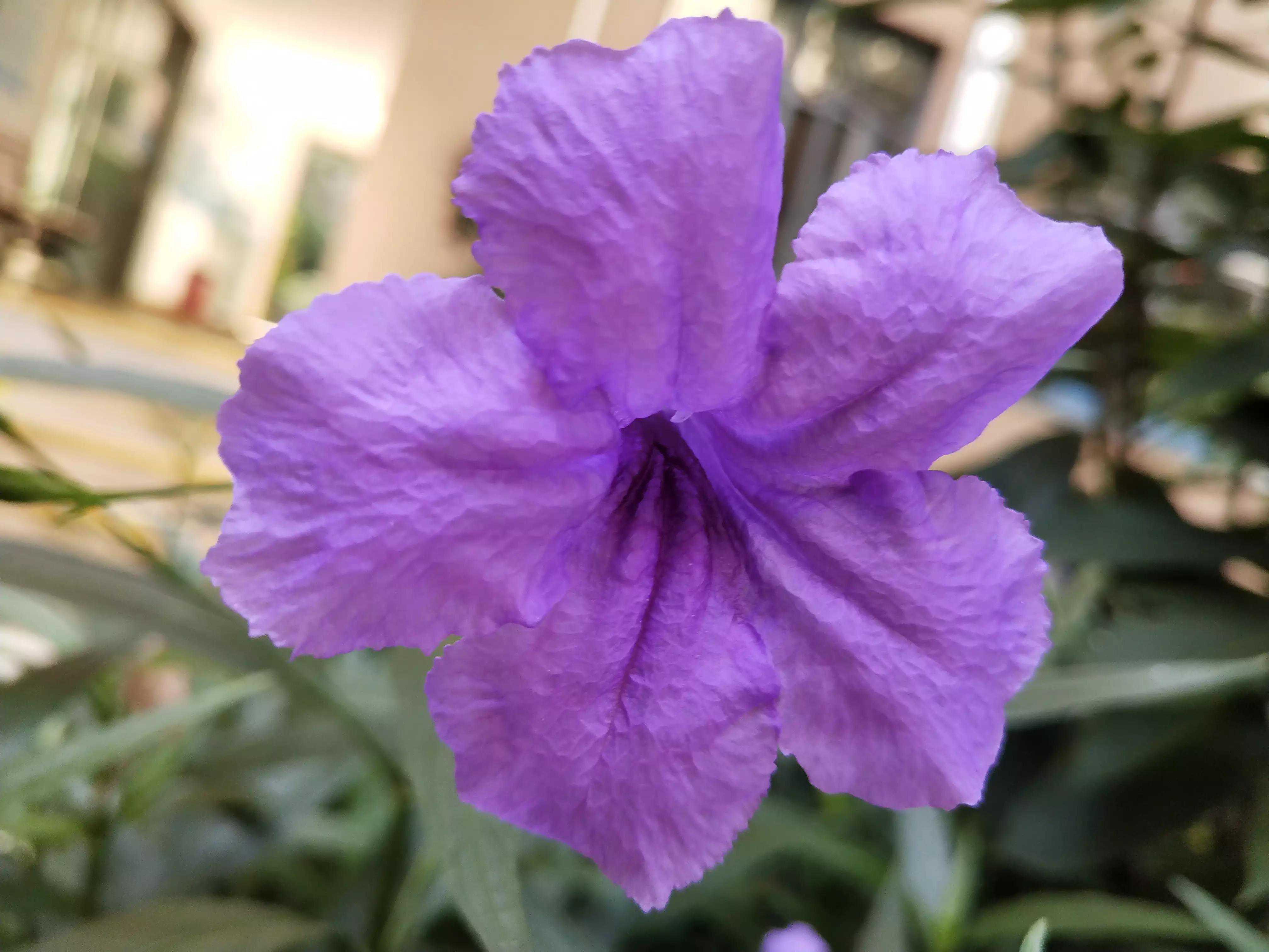 天意弄人，打新冠疫苗二针后发现我怀孕了，我该何去何从？