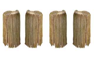 没有排卵能做试管婴儿吗