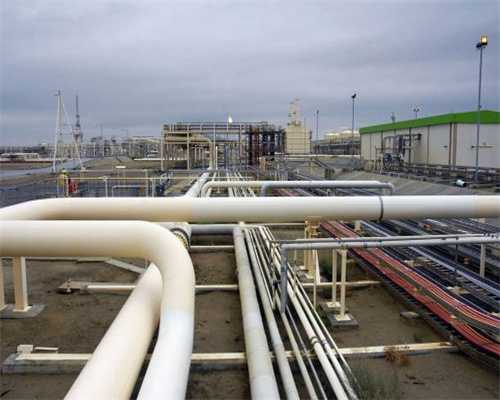 原创张小斐穿休闲装很“方案”，短毛衣高裤，身材比例堪比模特