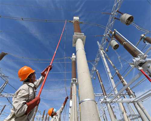 陈根：猪器官移植，未来器官移植的希望？