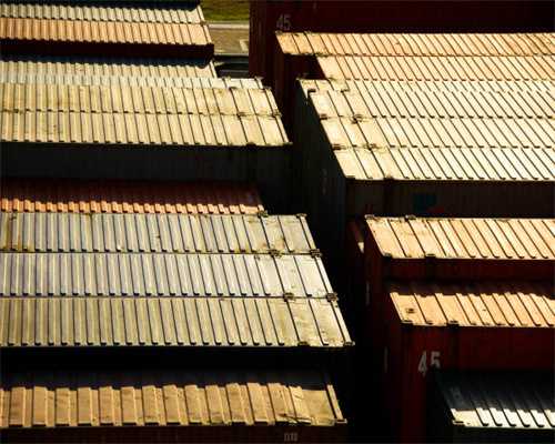 骨髓移植的过程及成功率介绍