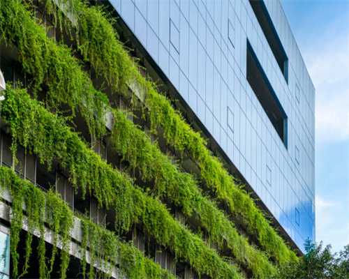 为什么要查性激素六项