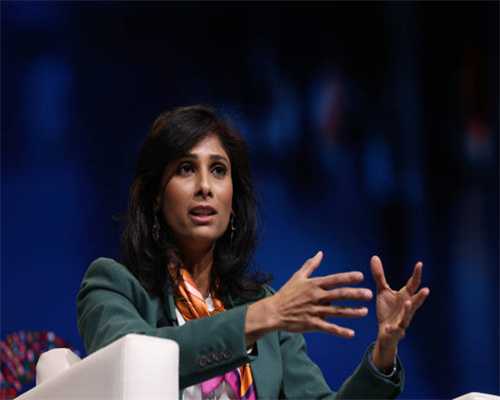 查卵泡是什么意思啊