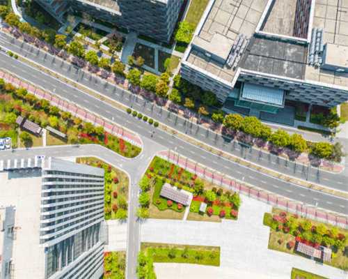 打了排卵针卵泡长不大