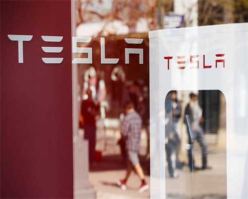 胚胎是什么意思