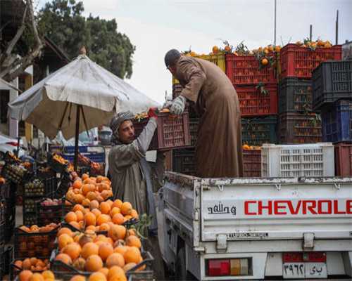 24岁女生肌酐以后我该怎么办？