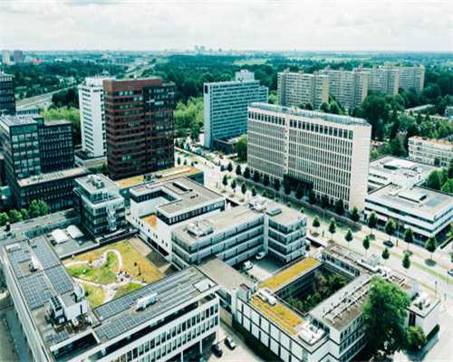 受精卵着床出血